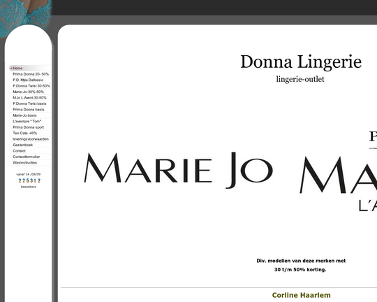 Donna Lingerie Logo